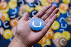 Umbraco Pricing How Costs Vary Between Developers Hosting and Maintenance